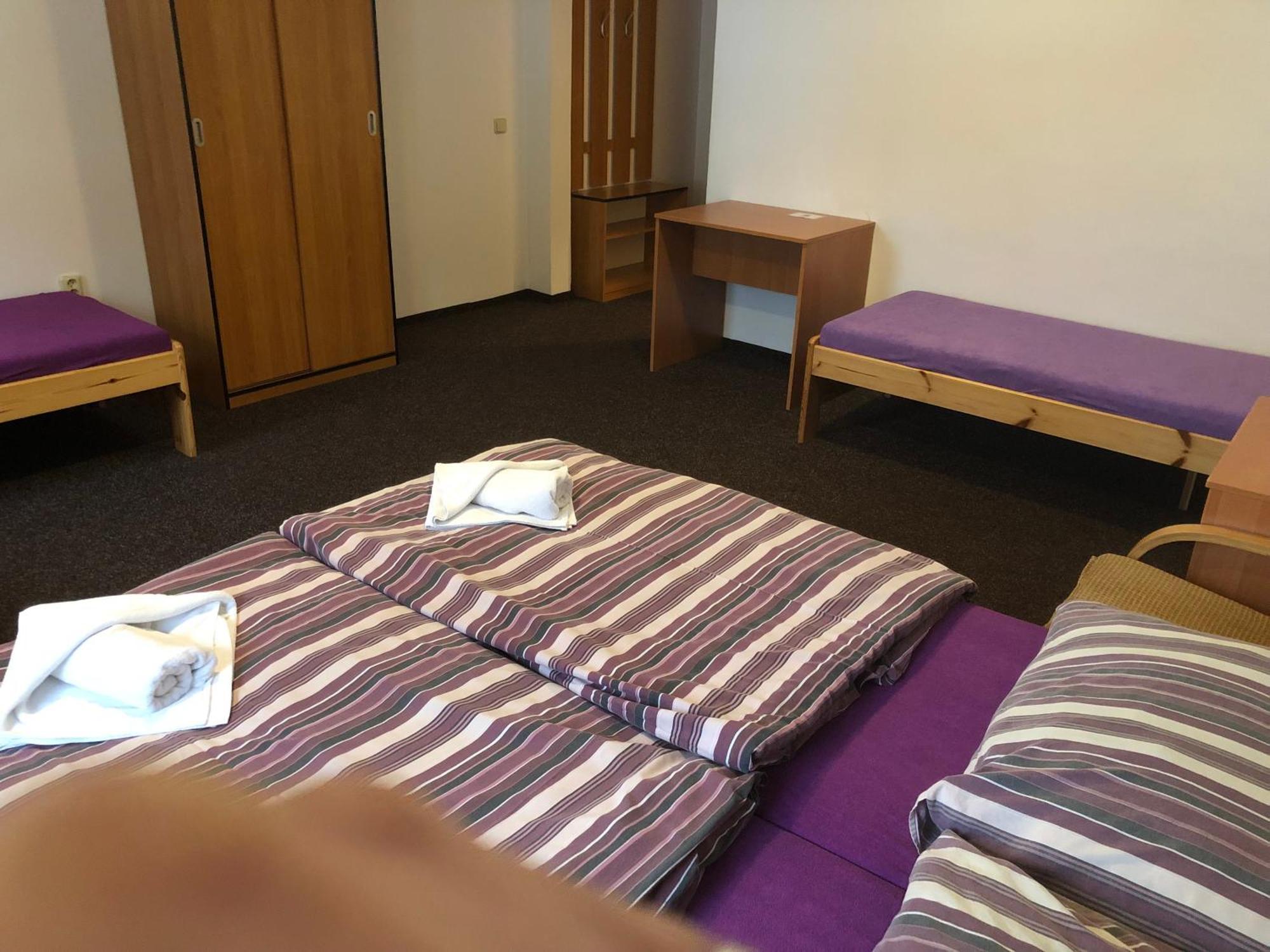 Hotel Bartosovice Bartosovice v Orlickych Horach Ngoại thất bức ảnh